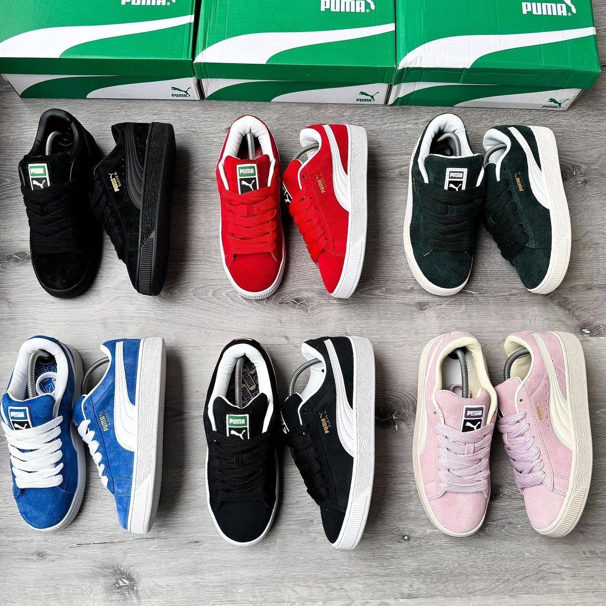 Puma