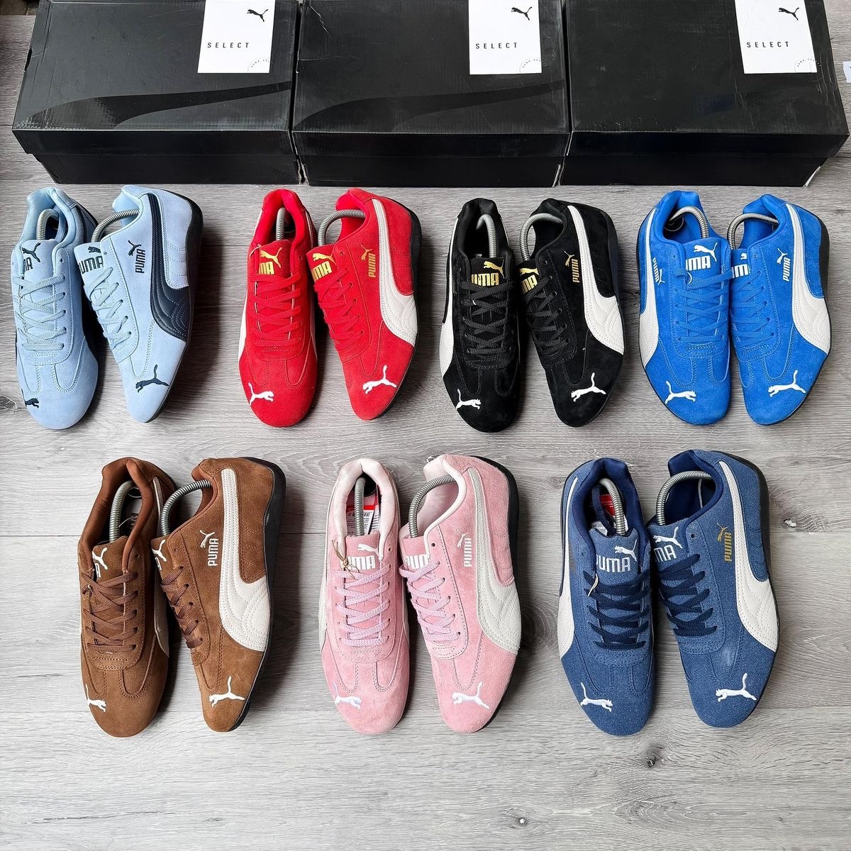 Puma
